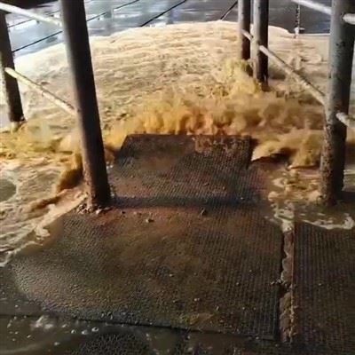 Milking Parlor Backflush System