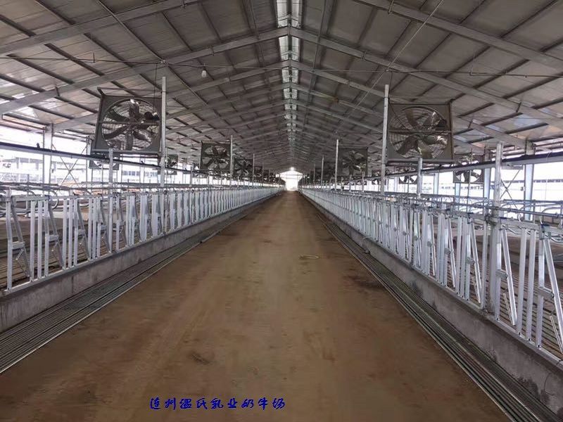 product-800-600